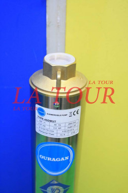Pompe à eau immergée automatique inox 230V 550W avec flotteur - Echamat  Kernst